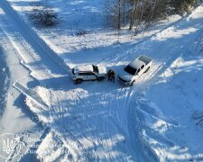 Тиждень "великої рубки": екоінспектори нарахували понад 24 мільйони збитків за сім днів