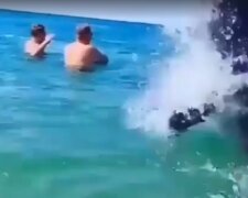 Зграя дельфінів влаштувала шоу перед відпочивальниками, відео: "підпливли до берега і..."