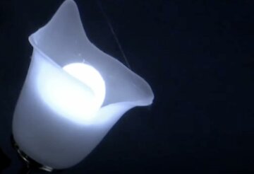 Отключение света на неделю 16-22 июня в Запорожской области