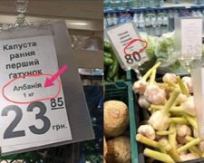 "А свои на помойку": украинские прилавки заполонили овощи из-за границы, кадры