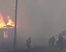 Огонь уничтожает все вокруг, на помощь подняты ВСУ и техника: кадры апокалипсиса под Житомиром