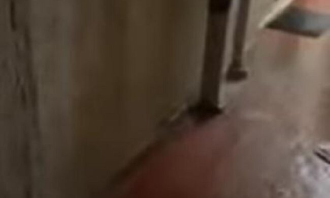 Ливень затопил жилой дом в Киеве, кадры ЧП: "как в Титанике"