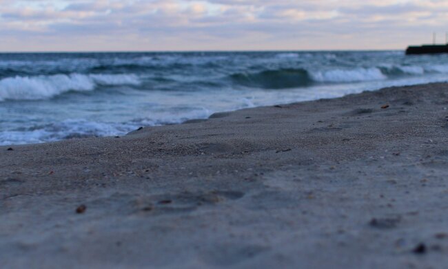 "Повинні бути в Африці": рідкісне природне явище відобразили в Одеській області