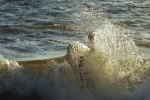 Море-океан-человек-тонуть-вода-пляж