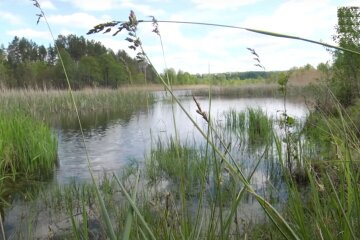 природно-заповідний фонд України, природа, посадка, Річка, скрін