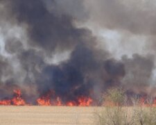 Масштабный пожар охватил природный парк под Одессой: кадры происшествия