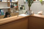 Грошова допомога для пенсіонерів у Черкаській області