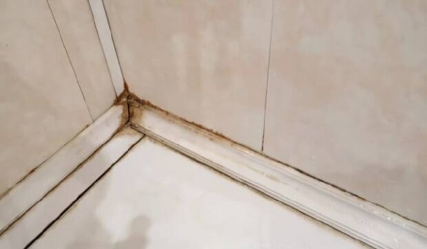  ������� ������ ������� ���� ����������� ������ ���������� ������� 