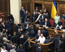 Слуга народа и соратник Тимошенко устроили дикий замес в Раде, скандальное видео: «Получите пиз…»