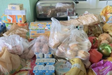 Бесплатные продукты для ВПЛ в Киевской области