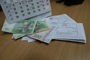 В Україні істотно скоротили розмір субсидій: деталі в цифрах