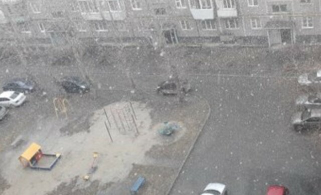 Снег накрыл Киев посреди весны: кадры внезапной стихии