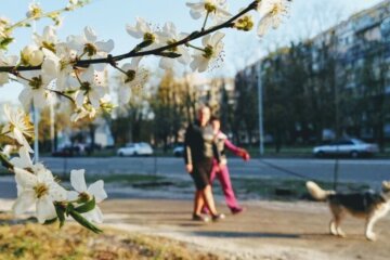 Чотири знаки Зодіаку знайдуть щастя у квітні: кому посміхнеться удача