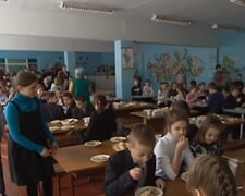 Крысы поселились в школьной столовой на Одесчине, бегают по столам: дети засняли видео