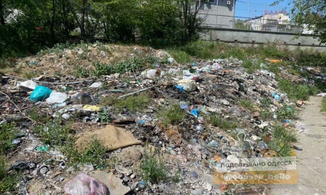 В Одесі стихійне звалище дійшло до вікон будинків, фото: "Гори гниючих відходів"