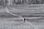 Донбасс, освобождение села