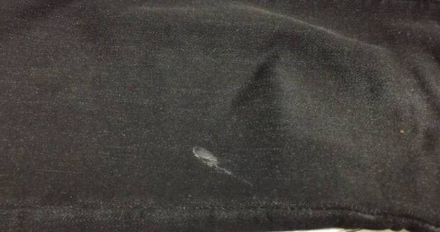 ����: politeka.net