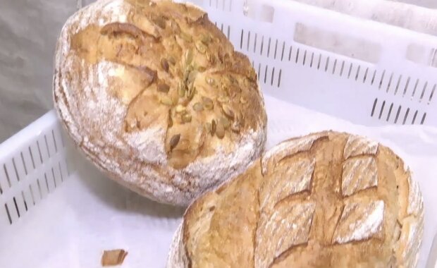 ����: politeka.net