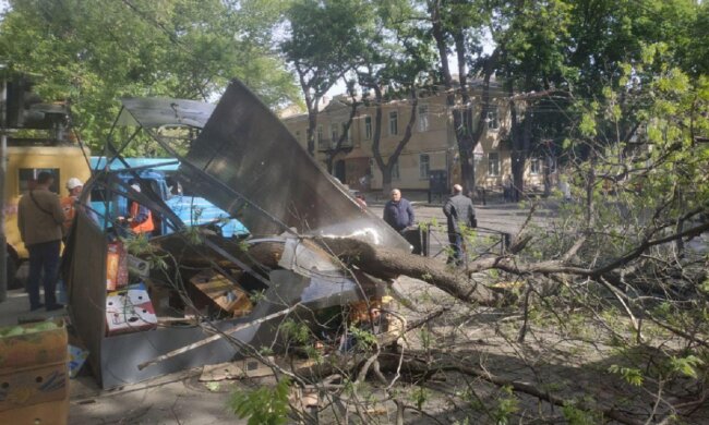 Дерево впало на кіоск з продавцем в центрі Одеси, рух заблоковано: кадри НП