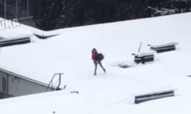 Харьковчанка рискуя жизнью забралась на крышу школы, все ради елки: видео