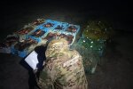 Держекоінспекція виявила масштабні порушення в заповіднику на Одещині