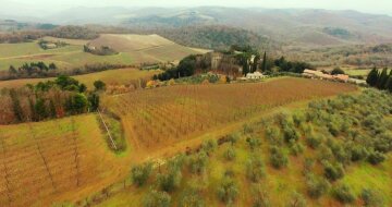 Виноградники в Анапе и Тоскане