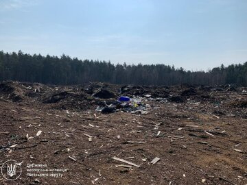 Сміттєві «багатоповерхівки» посеред лісу: на Житомирщині лісівників через суд змушують заплатити 1,6 мільйона за забруднення лісу