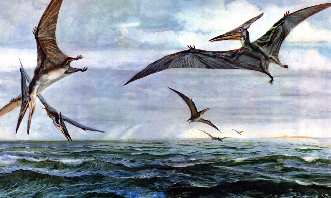 276622-alexfas01_3840x2400