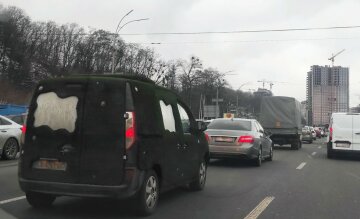 "Мохнатое" авто заметили на киевских дорогах, фото: "не каждый день такое увидишь"