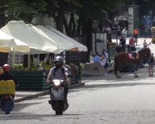 українці, літо, гороскоп, знаки зодіаку