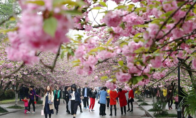 весна, люди