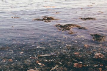 крым