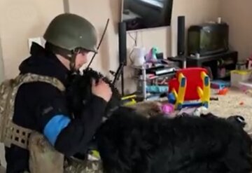 ЗСУ врятували добродушного пса, якого господарі залишили в будинку: "З такими воїнами перемога буде за нами!"