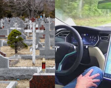 Датчики Tesla засікли "невидимку" на кладовищі: вражаючі кадри