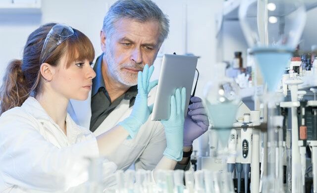 fff5aa1ac7bab2cc13eb55c240372cbe