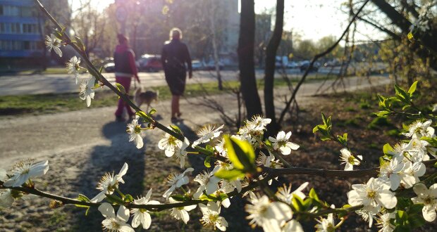 погода весна квітень люди