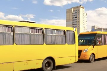 водій, маршрутка