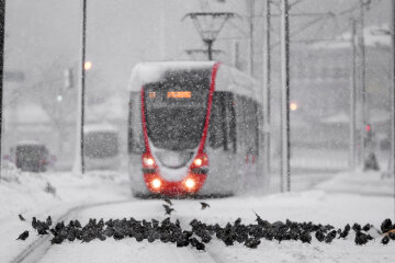 Снегопад, обрушившийся на Стамбул, оказывает негативное влияние на жизнь миллионов жителей мегаполиса. Высота снежного покрова в ряде районов достигла 40 см. ( Arif Hüdaverdi Yaman - Агентство Анадолу )
