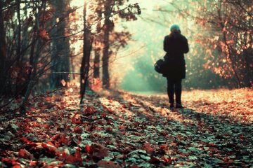 погода, холод, мороз