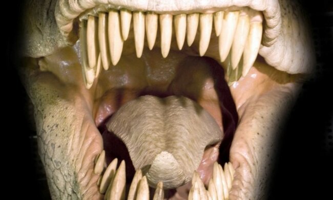 пасть клыки чудовище динозавр