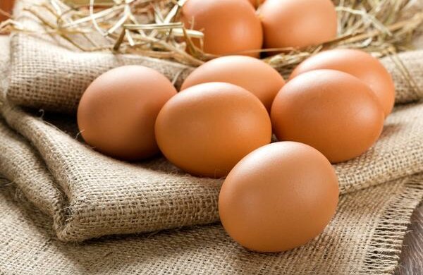 Все про користь і шкоду яєць: скільки можна з’їдати продукту на тиждень