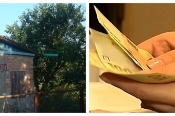 Будинок з ділянкою за 10 тисяч гривень: де в Україні задешево продають і навіть дарують житло, фото