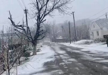 Зима прокинулася: Одеську область несподівано засипало снігом, з'явилися фото