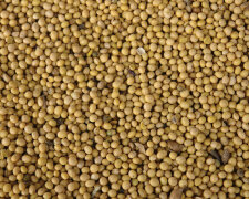 Ціни на продукти в Україні: аналітики попередили, що буде з вартістю важливого товару через проблеми з експортом