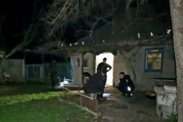 "Добивав велонасосом": під Києвом поліція затримала хлопця, який розправився з дідусем