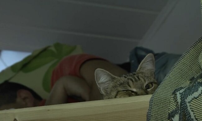 Безкоштовне житло для ВПО у Запорізькій області