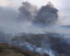 Новый масштабный пожар подбирается к Киеву, на помощь поднята техника: "уничтожено три..."