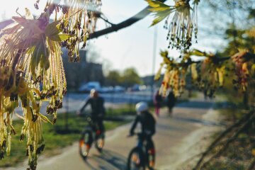 погода весна квітень люди велосипед