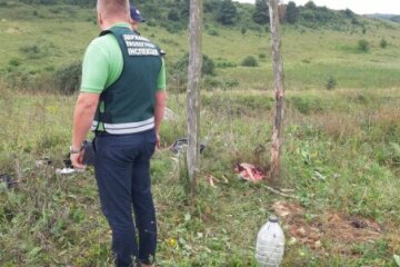 Держекоінспекція: У Краснопільському районі незаконно впольовано козулю