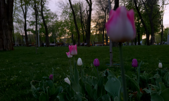 Прогноз погоды на неделю с 30 марта по 5 апреля в Днепре.